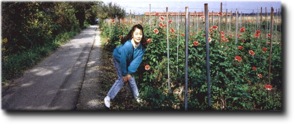 �_���A�̂��Ԕ�