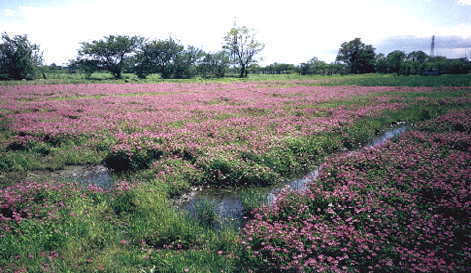 �����Q���Q