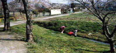 ���⋛�����ƗV��1