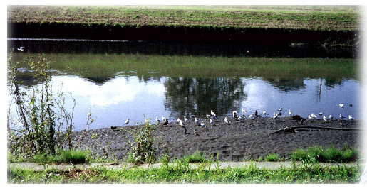 ���⋛�����ƗV�ԂQ