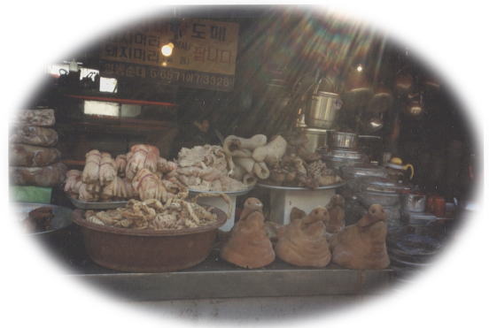 �؂���̂��ꂽ�܂܂Ŕ����Ă���